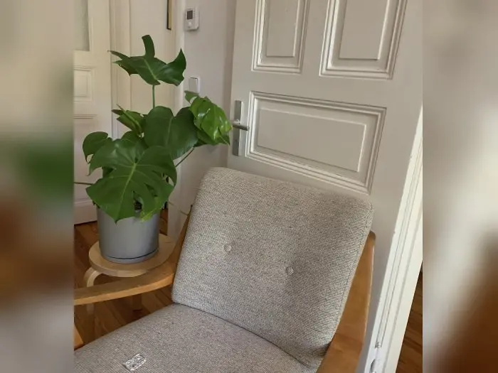 Vorschaubild 1