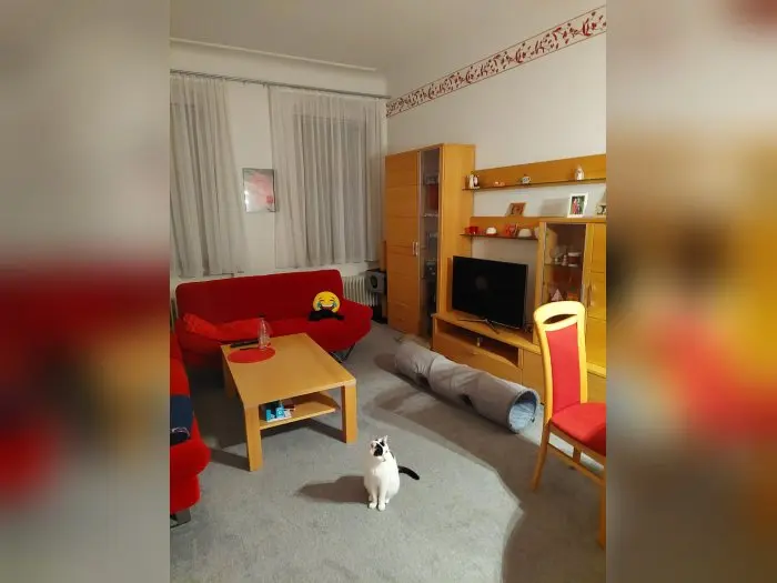 Vorschaubild 1