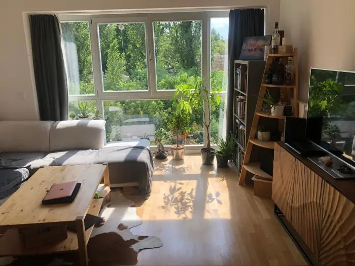 Vorschaubild 2