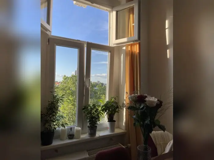 Vorschaubild 2