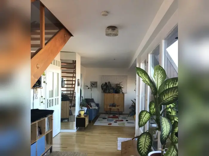 Vorschaubild 1