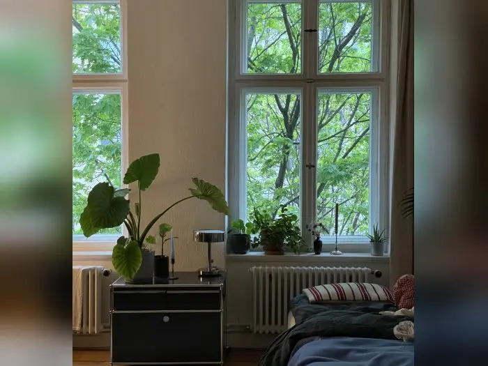 Vorschaubild 3